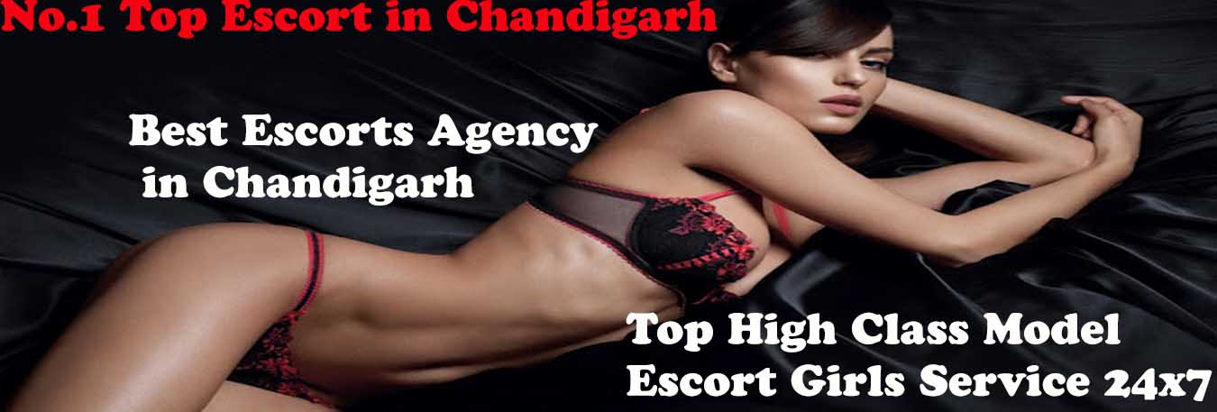 Chandigarh Indian escorts