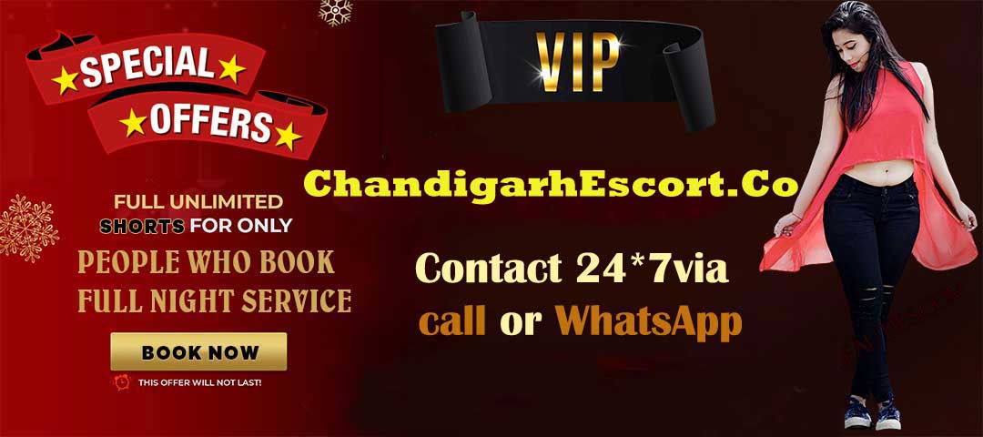 Special Offer for Escort Service